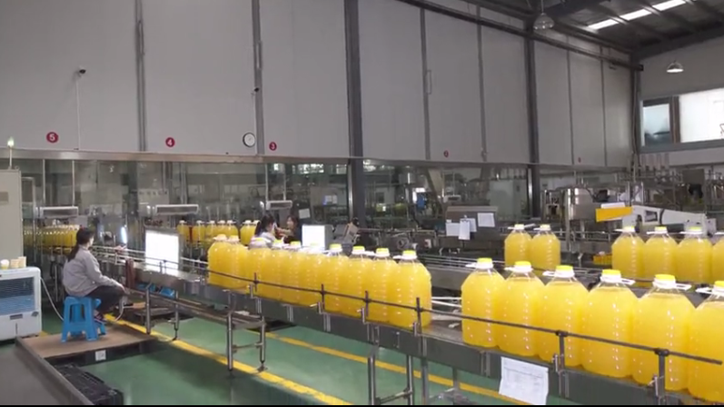 油讯探秘 塑料包装加工的技术革新与行业展望